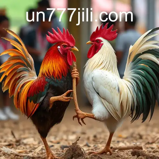 The Rise of Online Sabong: A Digital Evolution in Cockfighting